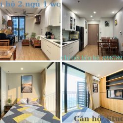 Chung cư Vinhomes Grren Bay Mễ Trì