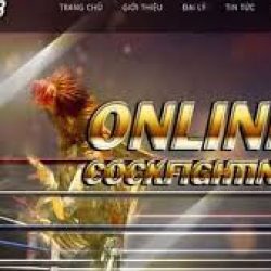 Đăng Nhập SV388: Khám Phá Sân Chơi Cá Cược Hàng Đầu