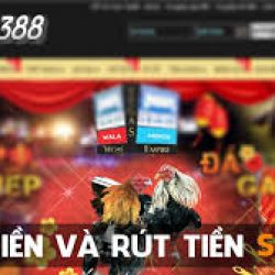 NHỮNG LƯU Ý KHI THỰC HIỆN LỆNH RÚT TIỀN SV388