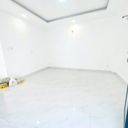BÁN NHÀ HẺM 1 XẸT TRẦN XUÂN SOẠN QUẬN 7