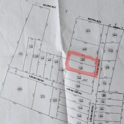 BÁN 318M2 ĐẤT SỔ RIÊNG ĐƯỜNG Ô TÔ LỮ GIA, PHƯỜNG 9 ĐÀ LẠT, 6.5TỈ, LH 0888-113-88