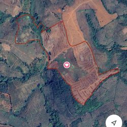 bán đất nông nghiệp 14,2ha có sổ hồng chính chủ