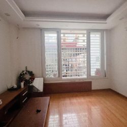 nhà đẹp phân lô. khu phố sầm uất