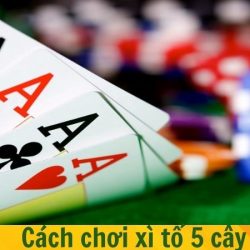 Cách chơi xì tố 5 cây chuẩn xác và hiệu quả