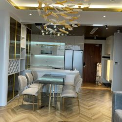 Cho thuê Căn hộ Cao Cấp 1-3PN tại Emerald Gold View, Thuận An, từ 5 triệu đồng