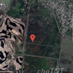 BÁN ĐẤT TÂN THÔNG HỘI 50 X 100M (5000M2) GIÁ 7.5 TỶ
