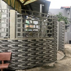 Bán nhà đường Chuyên Dùng 9,Phú Mỹ,Q7