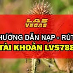 TỔNG HỢP LINK LVS788 VIỆT NAM KHÔNG BỊ CHẶN MỚI NHẤT