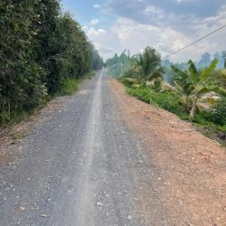 4ha đất vườn xã Thạnh Hòa,Bến Lức,Long An giá 15 tỷ
