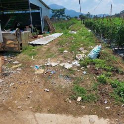 Nguyên lô đất hẻm phú thạnh hiệp thạnh đức trọng giá bao rẻ