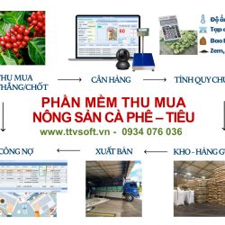 Quản lý thu mua, tính quy chuẩn hàng cà phê, tiêu kết nối cân điện tử
