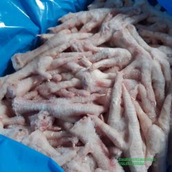 Cung cấp chân gà đông lạnh nhập khẩu sỉ & lẻ giá rẻ nhất Hà Nội