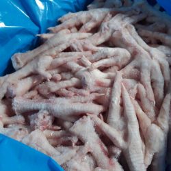 Hàng chân gà đông lạnh nhập Ý, Brazil – Chất lượng ổn định