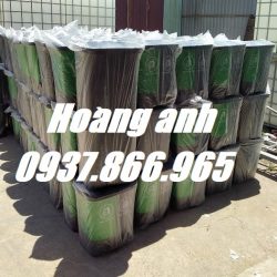 Thùng rác phân loại 2 ngăn, thùng rác 60l, bán thùng rác toàn quốc