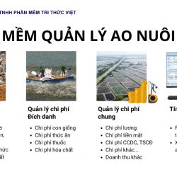 Giải pháp quản lý chi phí, lãi lỗ cho vùng nuôi thủy sản