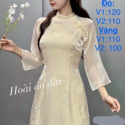 DÂU BIGSIZE CÓ NGAY ÁO DÀI BIGSIZE