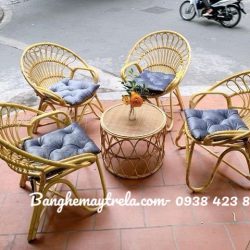 Ghế mây đơn nhỏ đuôi công