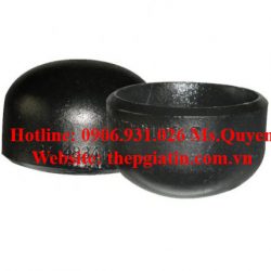Nắp bịt ống thép SCH40