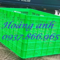 Sọt nhựa đẩy hàng trong phân xưởng, sọt nhựa, sọt kéo hàng, sọt có 2