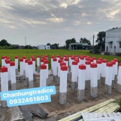 Cọc tiêu bê tông cốt thép sản xuất theo yêu cầu