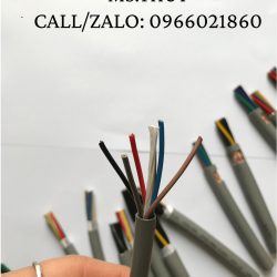 Cáp điều khiển nhiều lõiCU/PVC/PVC