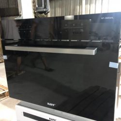 Lò vi sóng kết hợp nướng