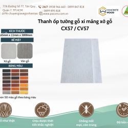Thanh tường/ trần gỗ xi măng Concrete wood (P&A)