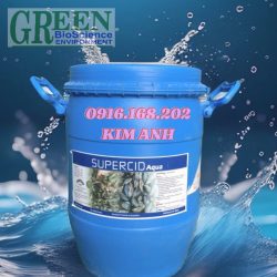SUPERCID – Acid hữu cơ
