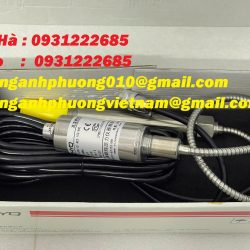 Cảm biến áp suất độ chính xác cao dòng ZHYQ PT124G-121-M22-152/460