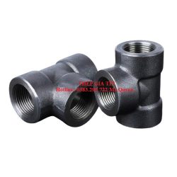 Tê ren áp lực  - TPHCM