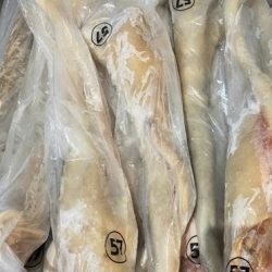 Chuyên Bán buôn đuôi trâu Ấn Độ đông lạnh số lượng lớn