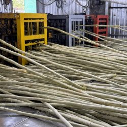 MÍA ĐÔNG LẠNH XUẤT KHẨU VIET GOODS TRADE