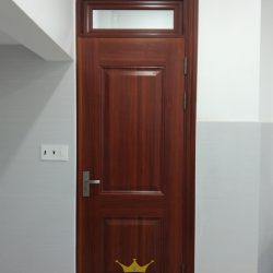 Mẫu Cửa Thép Vân Gỗ  Đẹp Hiện Đại