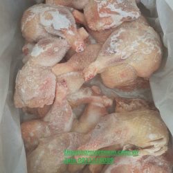 Thịt Đùi Gà Chọi Mái Dai Nhập Khẩu Giá Rẻ Phân Phối Toàn quốc
