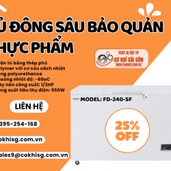 Tủ đông sâu bản quản thực phẩm