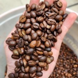 Đừng Bị Giá Rẻ Đánh Lừa – Cà Phê Giả Đang Hủy Danh Tiếng Của Bạn