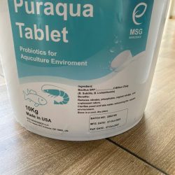 Men vi sinh dạng viên 3G Puraqua Tablet, xử lý nước và đáy ao nuôi