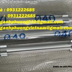 Festo nhập khẩu - xi lanh khí DSBG-40-300-PPVA-N3