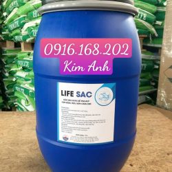 LIFE SAC - NẤM MEN DÙNG ĐỂ PHÂN HUỶ NẤM ĐỒNG TIỀN