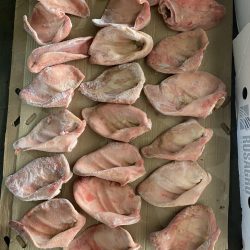Cách làm sạch tai lợn đông lạnh nhập khẩu trước khi nấu