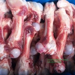 Xương ống heo đông lạnh - Ship nguyên thùng giá sỉ, giá bán buôn