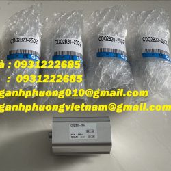 CDQ2B20-25DZ SMC - Xi lanh - chuyên bán hàng ngành tự động hóa