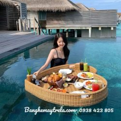 Khay đồ ăn nổi hồ bơi