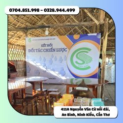 THI CÔNG BACKDROP CÁC TỈNH MIỀN TÂY