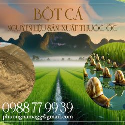 BỘT CÁ – nguyên liệu sản xuất Thuốc Ốc