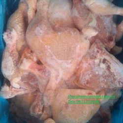 Cung cấp đùi gà góc tư nhập khẩu sỉ vả lẻ rẻ nhất Hà Nội