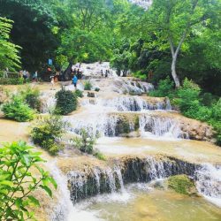 Dã ngoại