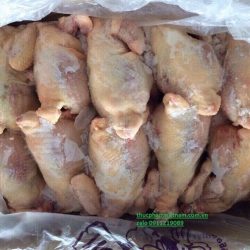 Top địa chỉ bán buôn gà nguyên con Hàn Quốc chất lượng