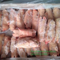Móng giò heo giá bao nhiêu tiền? mua móng giò đông lạnh ở đâu bán rẻ