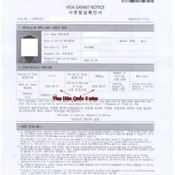 Dịch vụ làm visa Hàn Quốc nhanh từ 6-8 ngày